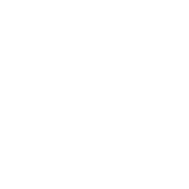 radon icon