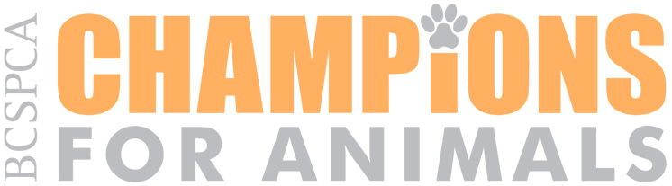 Champions for Animals Logo