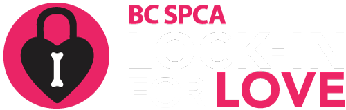 BC SPCA Lock-In for Love