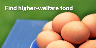 FarmSense badge 400 x 200 px higher-welfare food.png