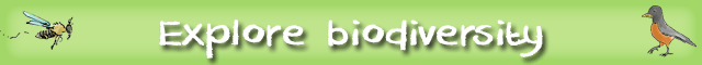e-kids_bio-banner_green.png