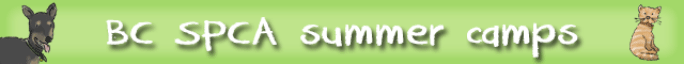 e-kids_summer-camps-banner_green.png