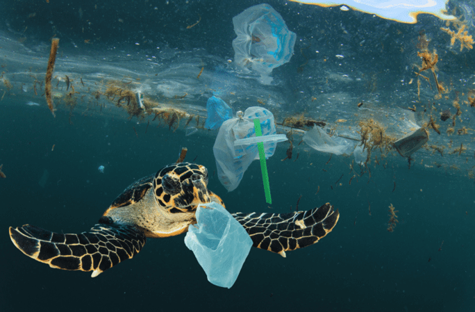 e-teacher_sea-turtle-eating-plastic_684.png