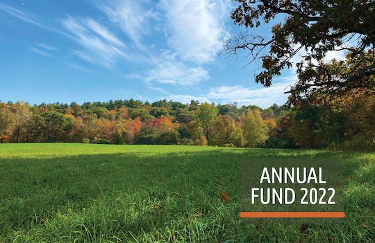 Annual Fund 2022 Fall Vineyard Hill