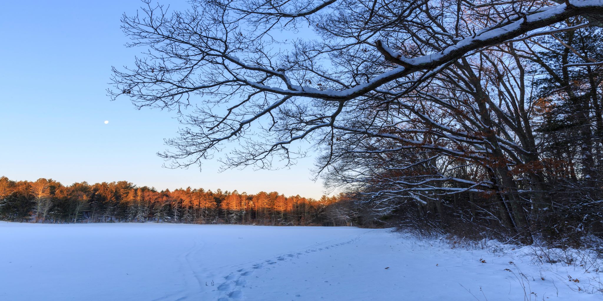 Winter at Julia Bird Reservation