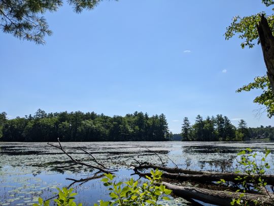 Crystal Lake, Haverhill