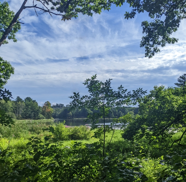 Sawmill Brook, West Newbury