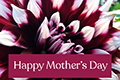 Donation eCard: Mother's Day