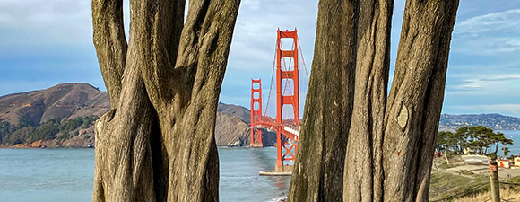 Golden Gate Bridge seen through trees near Battery Godfrey.