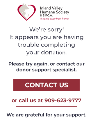 Contact our donor support specialist