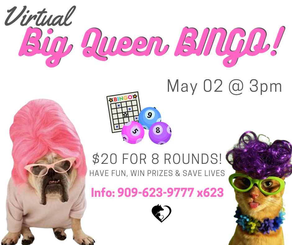 Bingo Virtual