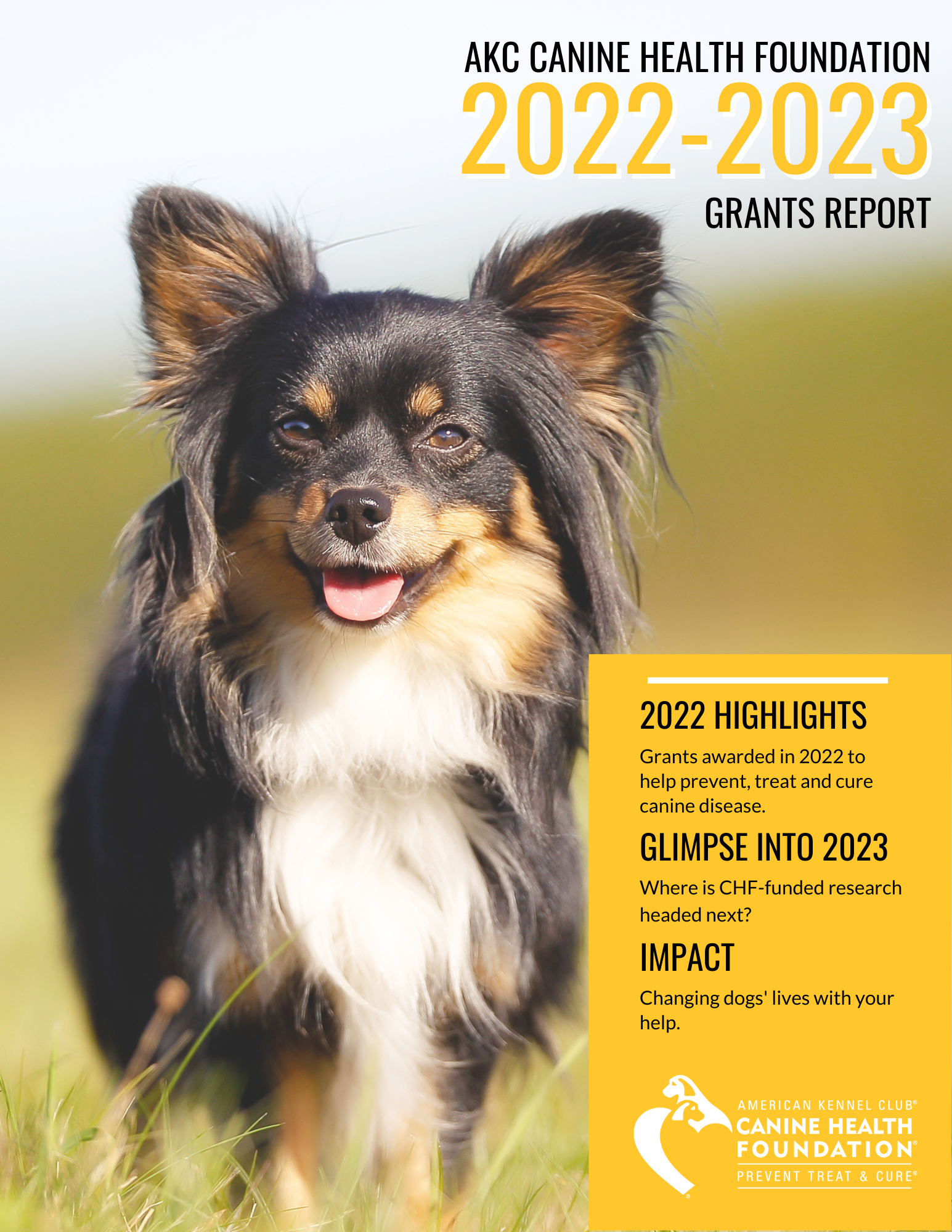 2022-2023 Grants Report cover