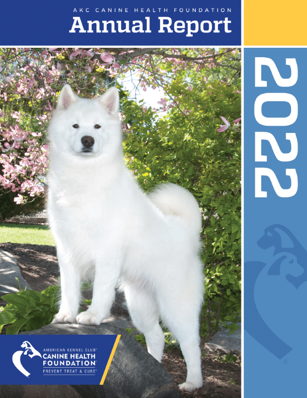 CHF 2022 Annual Report Cover