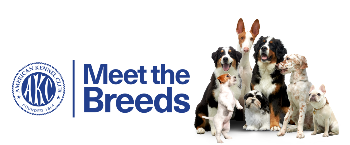 AKC Meet the Breeds logo
