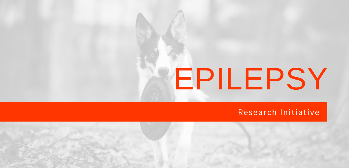 Epilepsy Research Initiative graphic