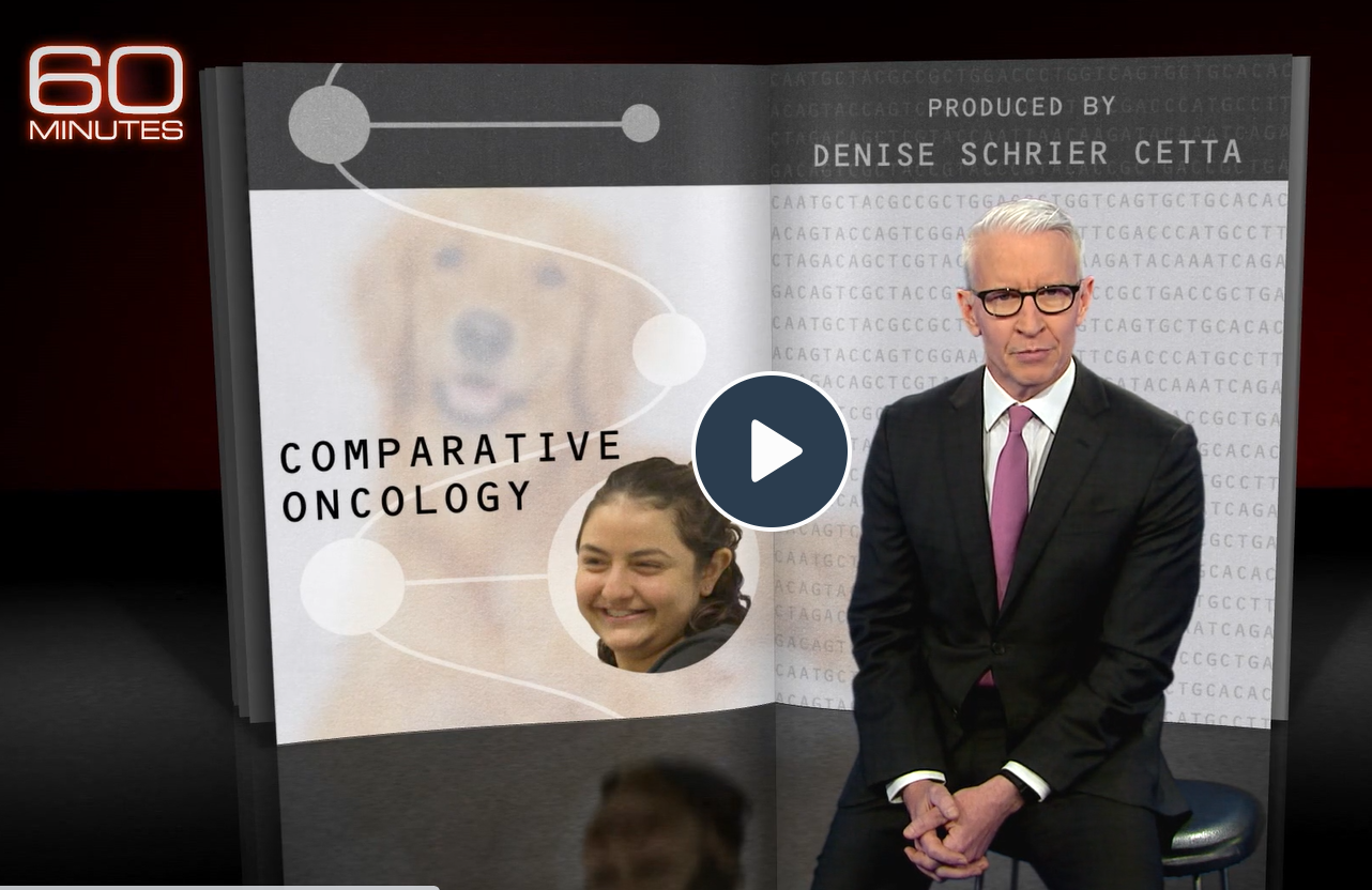 Comparative Oncology screen shot 60 Minutes