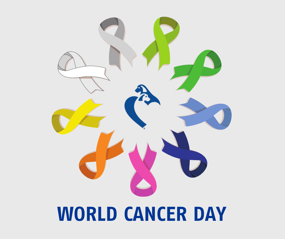 World Cancer Day graphic
