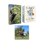Nature Woodpeckers: DVD + Flashcards + Suet Feeder