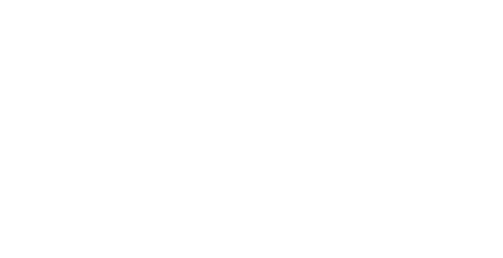 Partner of feeding america