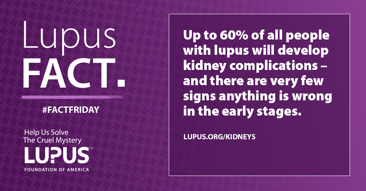 lupus-and-the-kidneys-lupus-nephritis-lupus-foundation-of-america