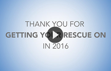 2016 Video