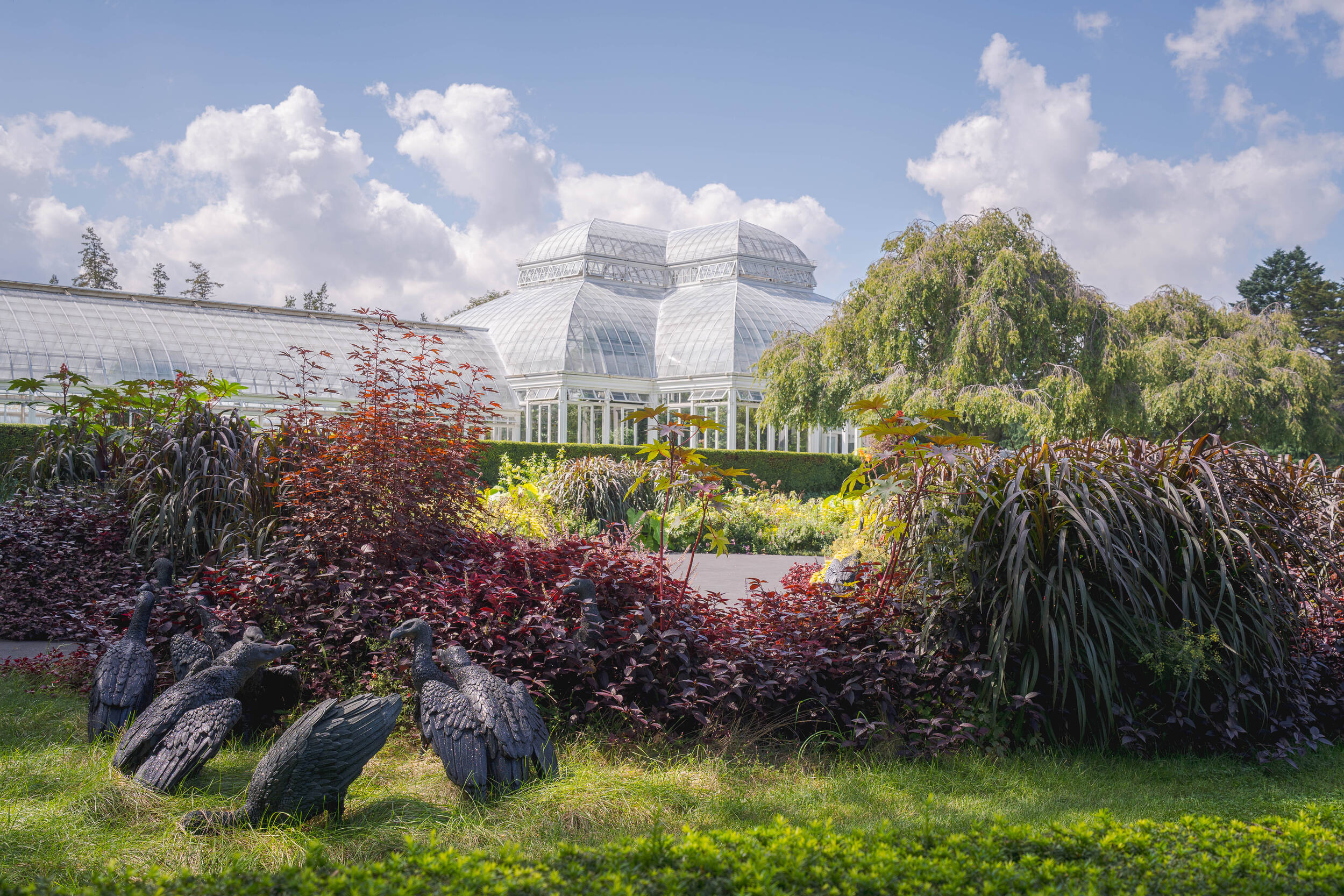 Conservatory in the background with vultures in the foregrou