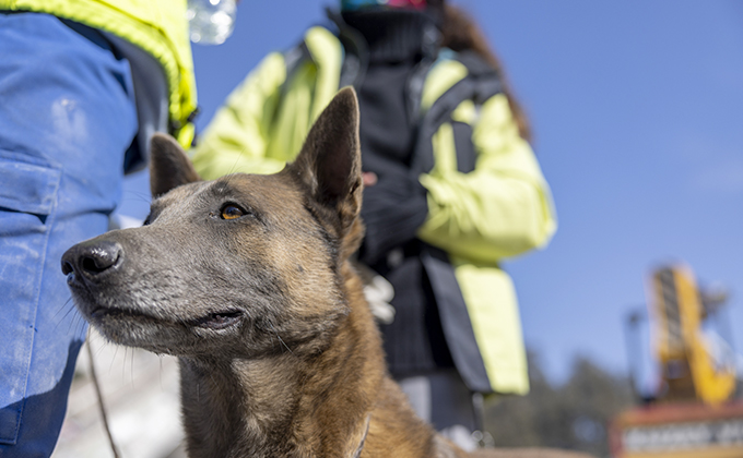 Project HOPE partner SAMU conducts search and rescue operations with a K-9 team in Antakya, Turkey on Friday, February 10, 2023.