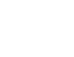 Courage of Carly Fund Logo