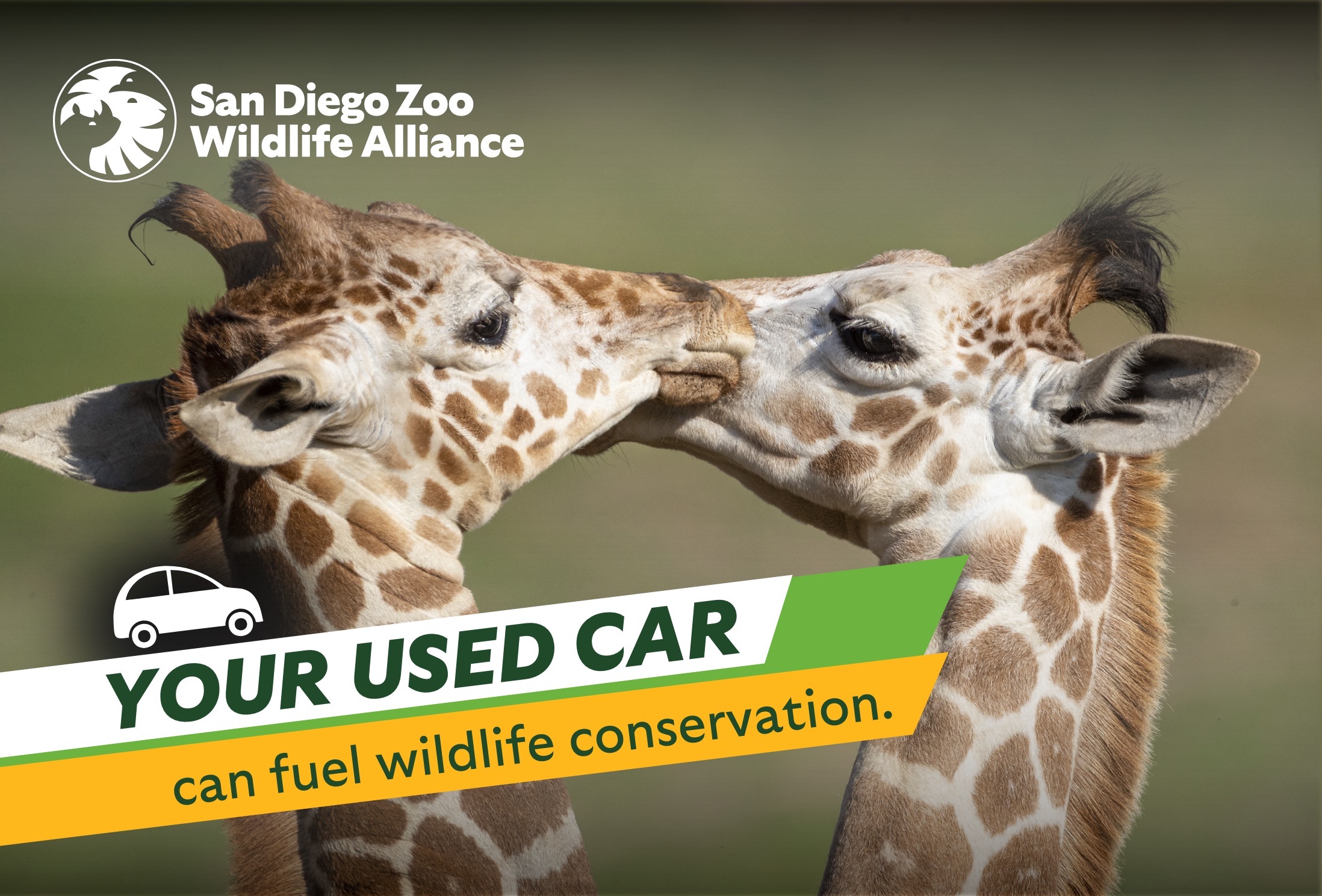 YOUR USED CAR  can fuel wildlife conservation.