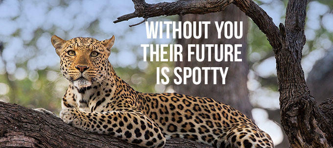 Without you their future is spotty.