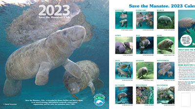 An image of the front and back covers of the 2023 calendar