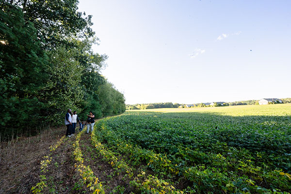 Family walks through Meadowood property in Connecticut