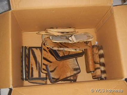Box filled with tiger skin wallets