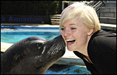 Sea Lion kiss